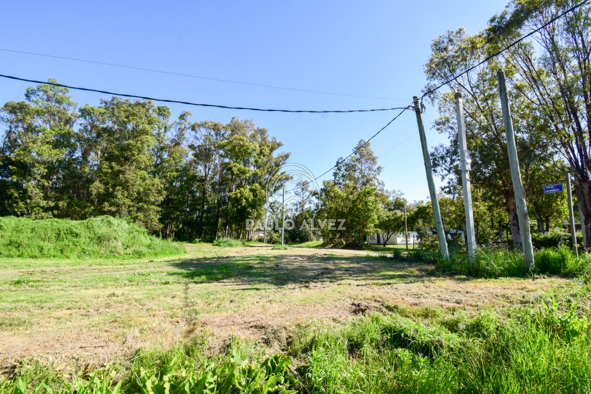 Piriápolis - GoPunta - Portal Inmobiliario de Punta del Este - Maldonado