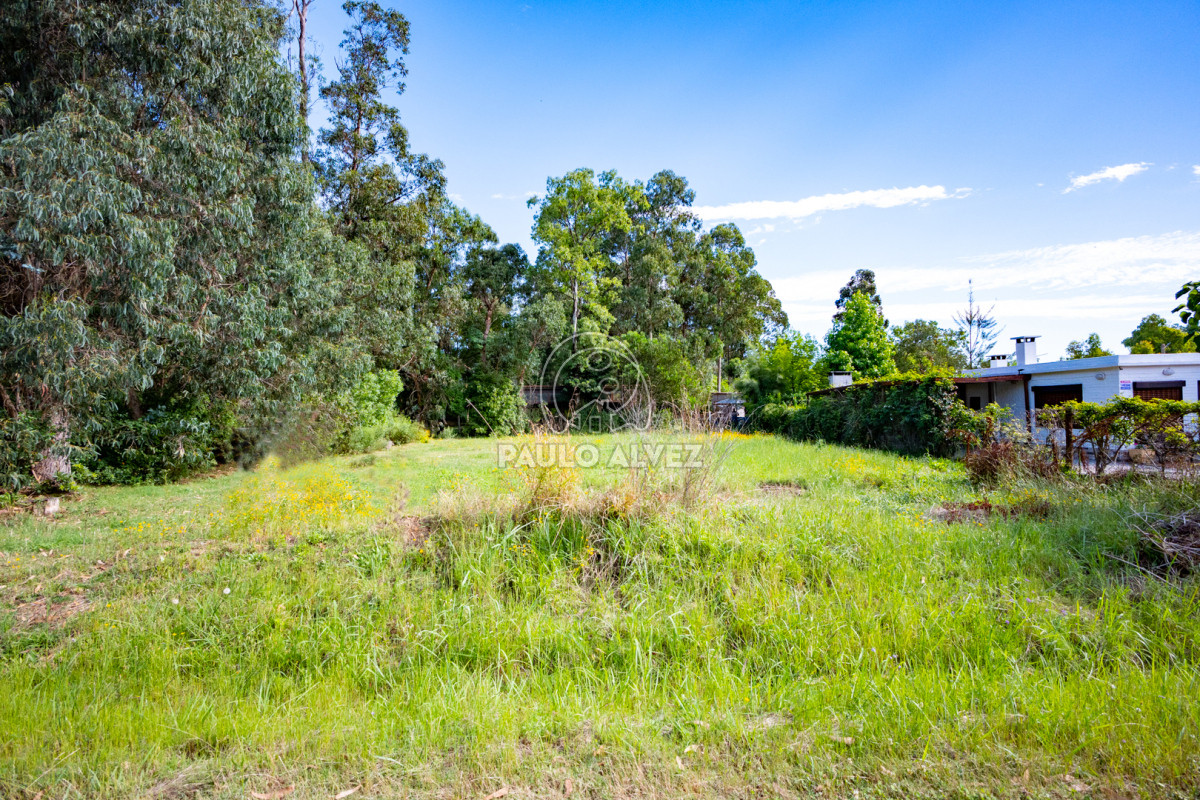 Piriápolis - GoPunta - Portal Inmobiliario de Punta del Este - Maldonado