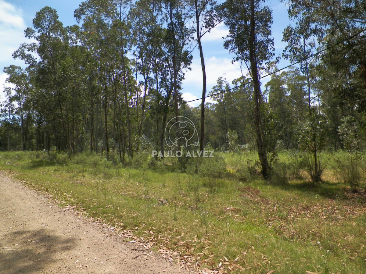 Piriápolis - GoPunta - Portal Inmobiliario de Punta del Este - Maldonado