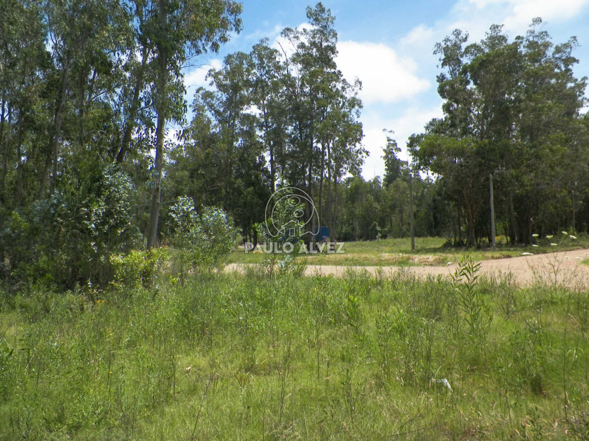 Piriápolis - GoPunta - Portal Inmobiliario de Punta del Este - Maldonado