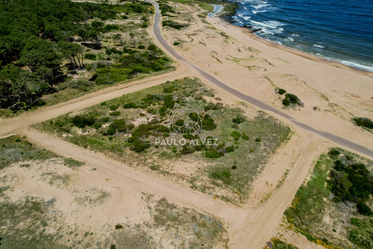 Punta Colorada - GoPunta - Portal Inmobiliario de Punta del Este - Maldonado