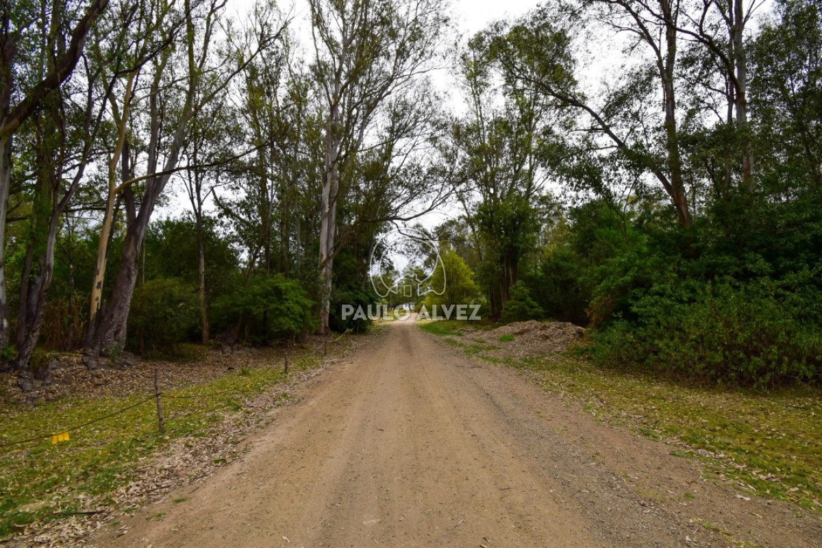 Piriápolis - GoPunta - Portal Inmobiliario de Punta del Este - Maldonado