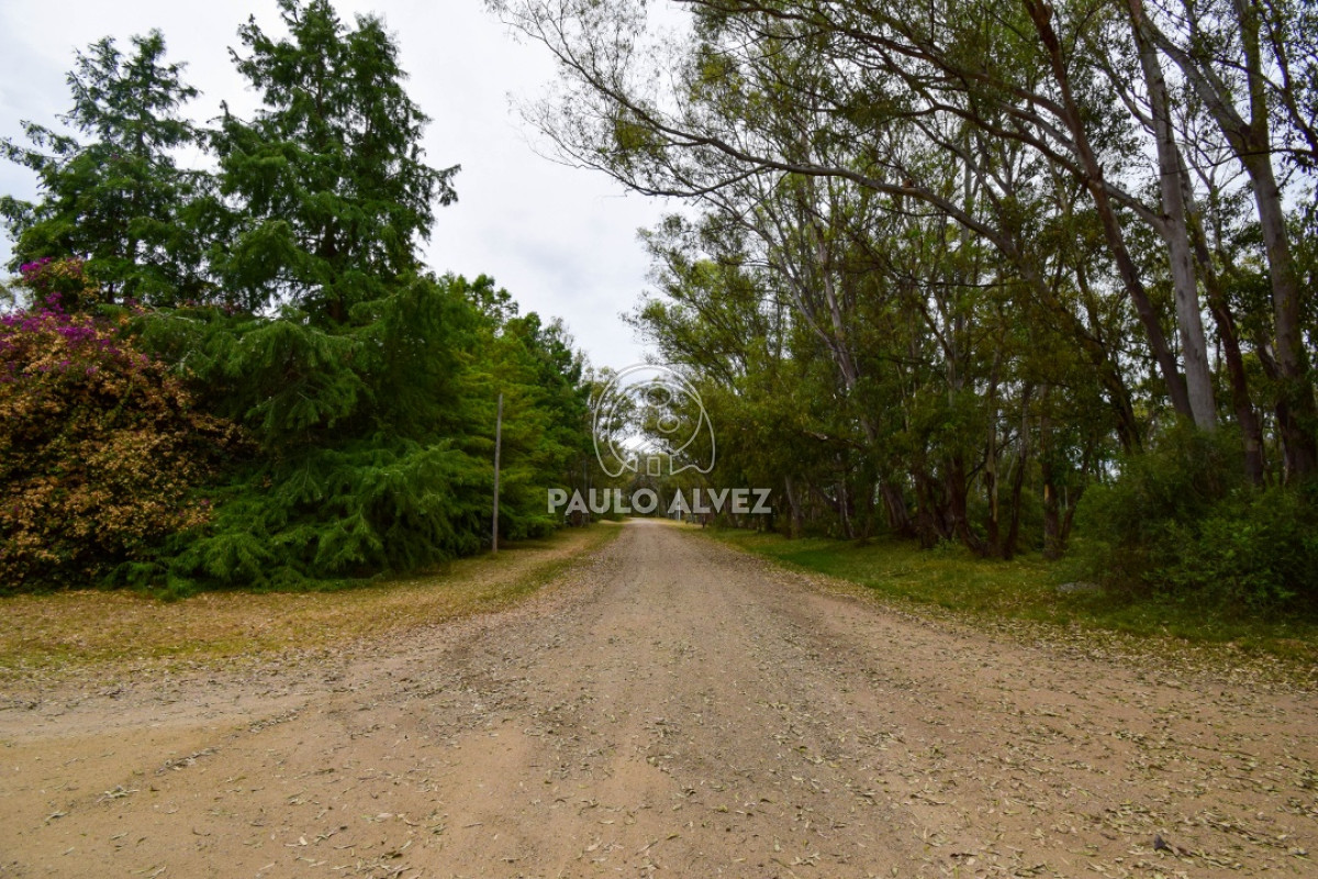 Piriápolis - GoPunta - Portal Inmobiliario de Punta del Este - Maldonado