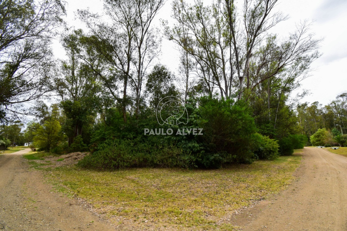 Piriápolis - GoPunta - Portal Inmobiliario de Punta del Este - Maldonado