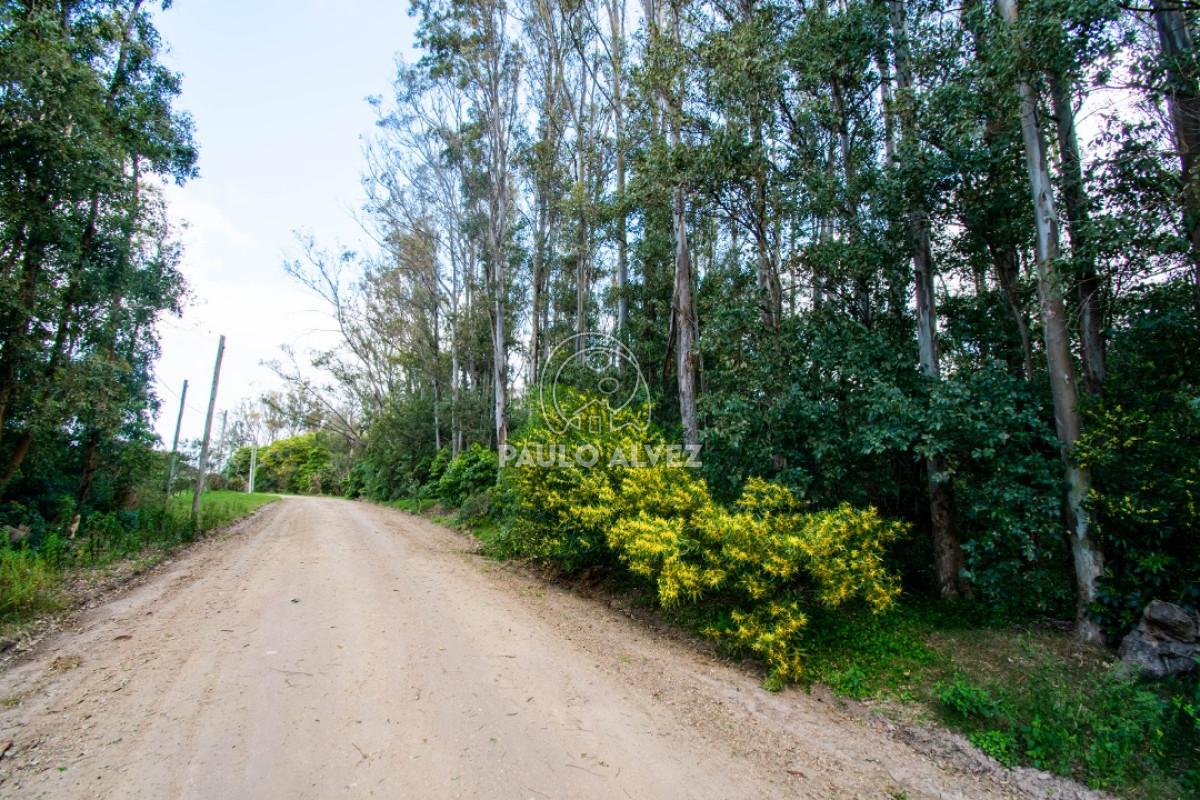 Piriápolis - GoPunta - Portal Inmobiliario de Punta del Este - Maldonado