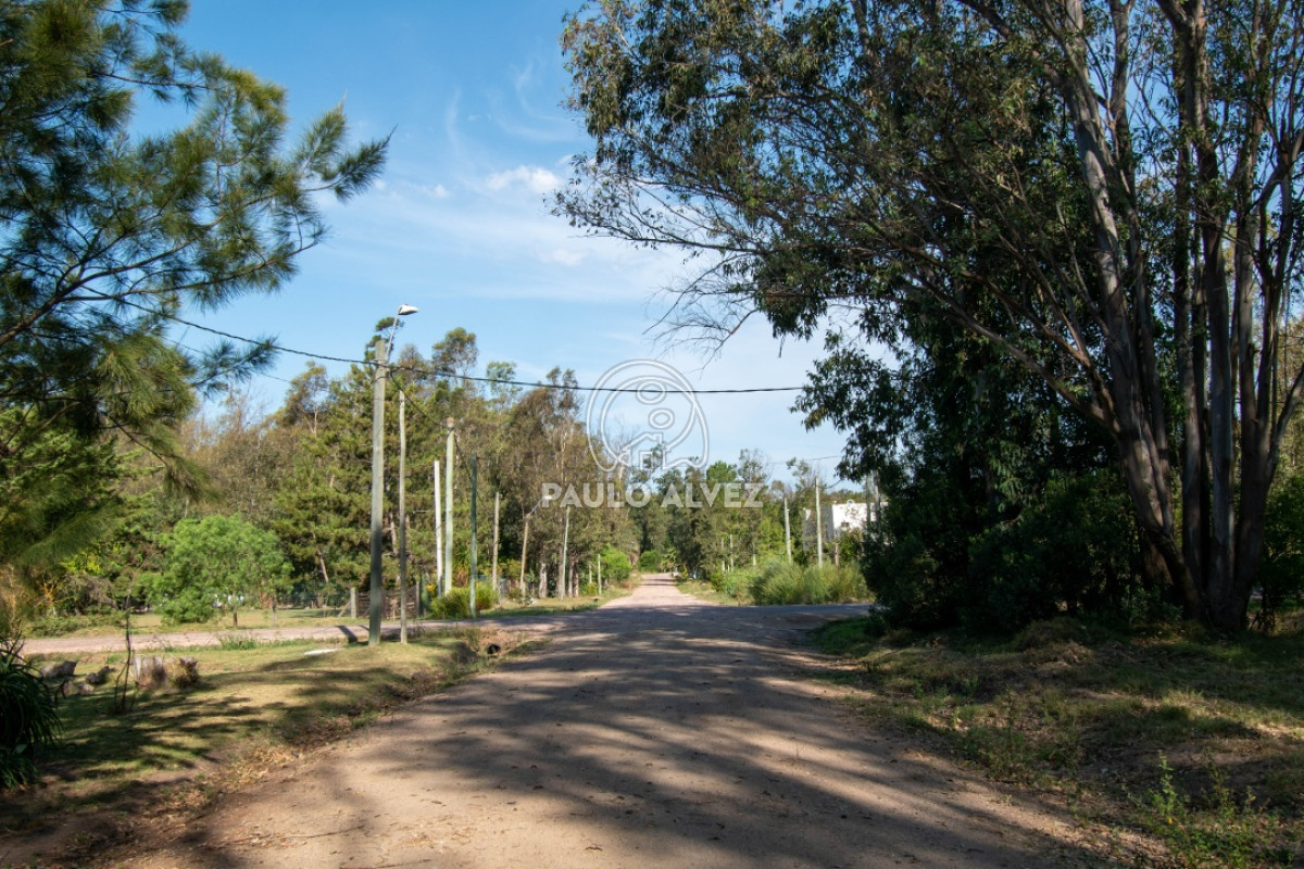 Piriápolis - GoPunta - Portal Inmobiliario de Punta del Este - Maldonado