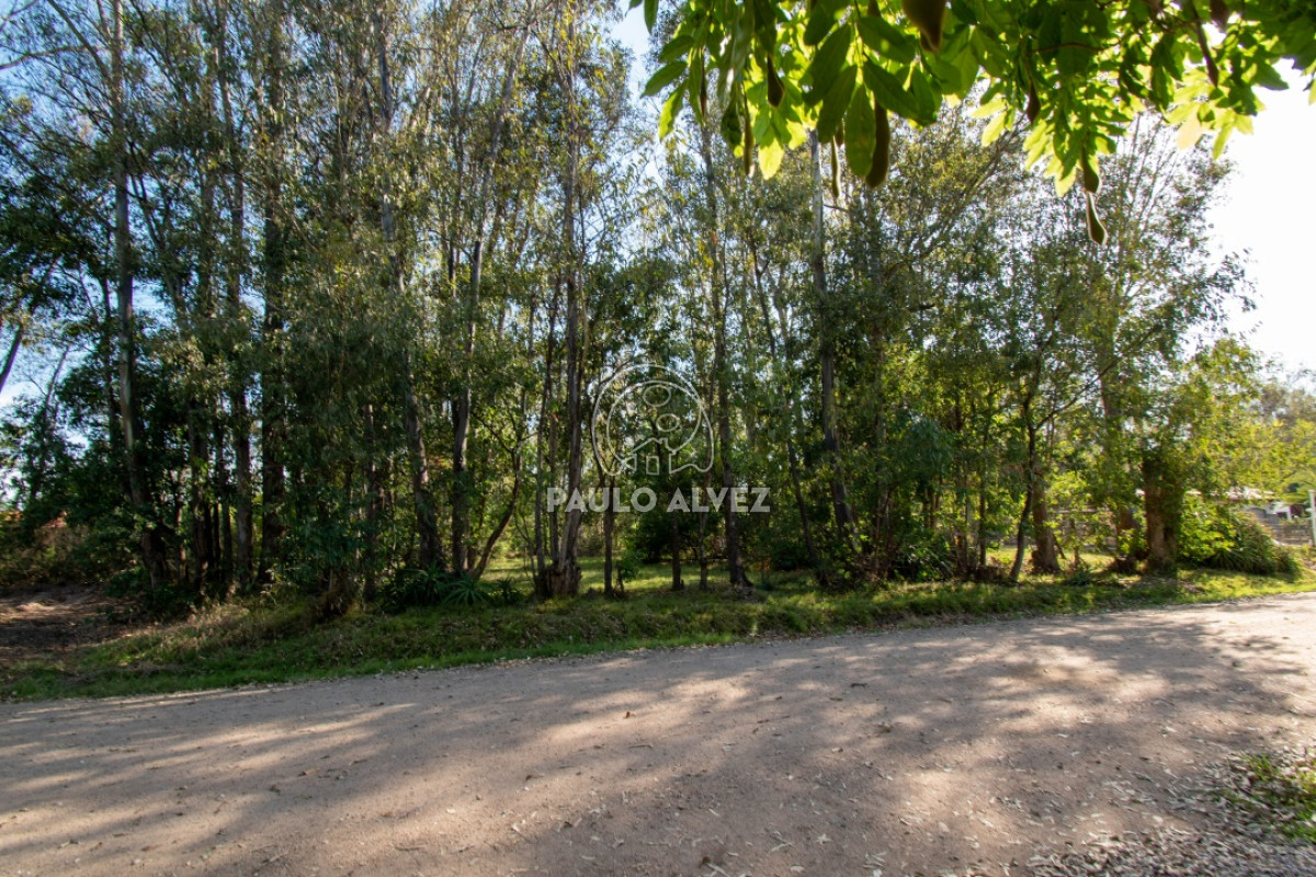 Piriápolis - GoPunta - Portal Inmobiliario de Punta del Este - Maldonado