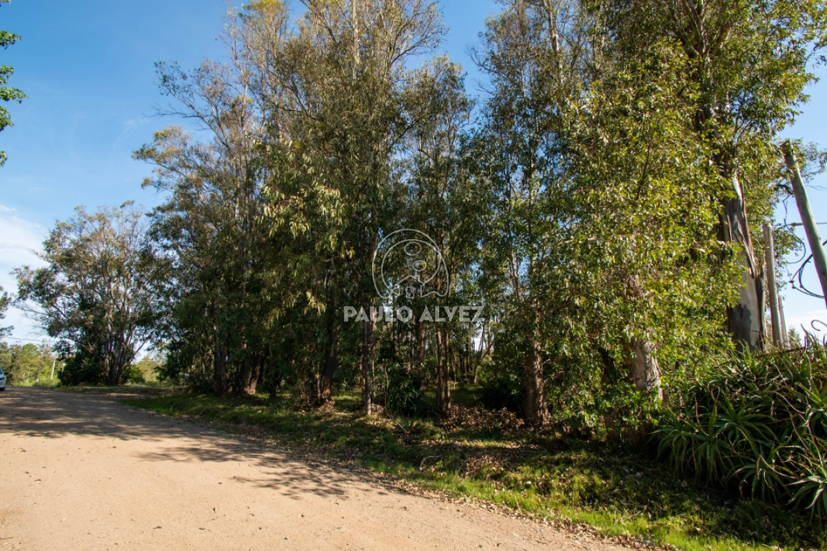 Piriápolis - GoPunta - Portal Inmobiliario de Punta del Este - Maldonado