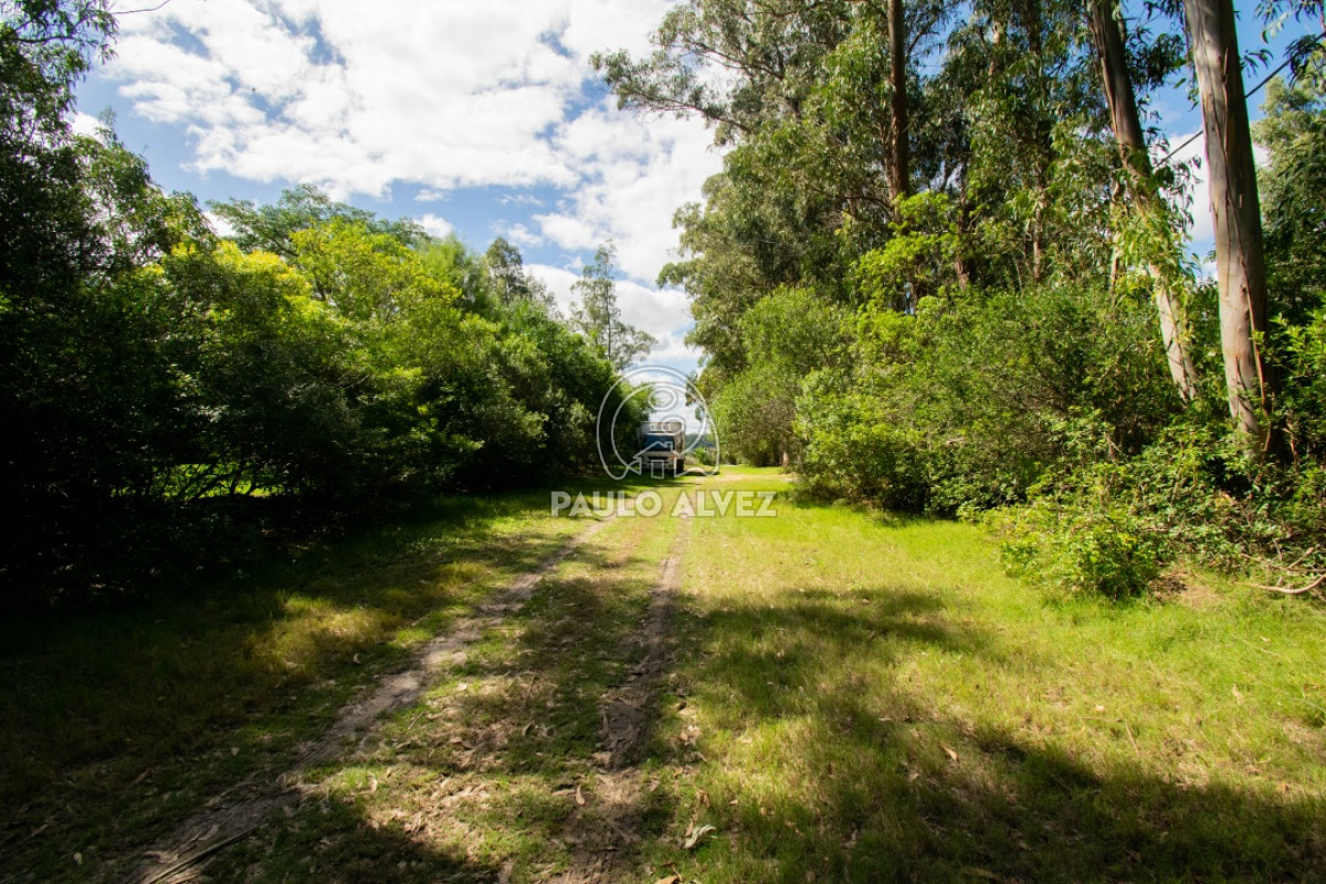 Piriápolis - GoPunta - Portal Inmobiliario de Punta del Este - Maldonado