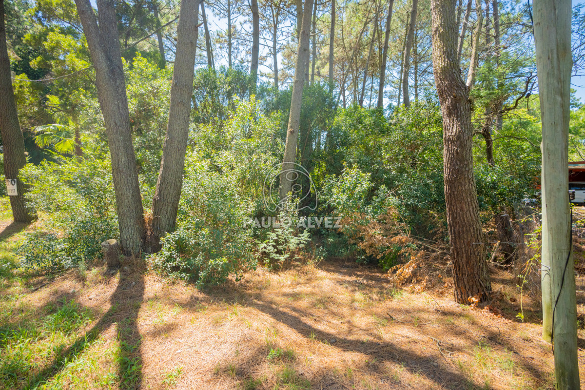 Country - GoPunta - Portal Inmobiliario de Punta del Este - Maldonado