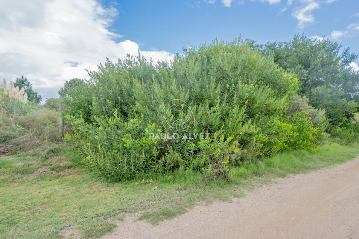 Punta Negra - GoPunta - Portal Inmobiliario de Punta del Este - Maldonado