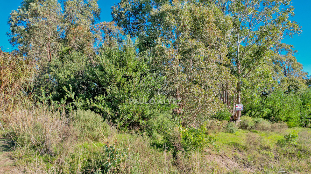 Punta Colorada - GoPunta - Portal Inmobiliario de Punta del Este - Maldonado