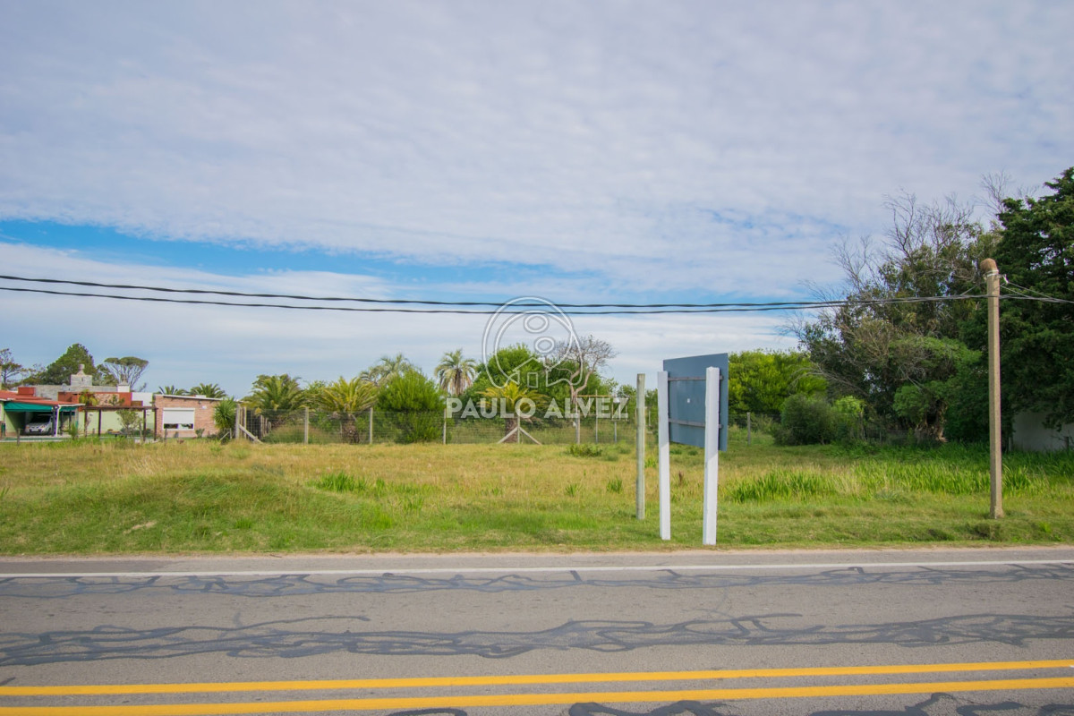 Piriápolis - GoPunta - Portal Inmobiliario de Punta del Este - Maldonado