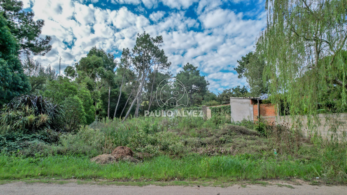 San Francisco - GoPunta - Portal Inmobiliario de Punta del Este - Maldonado