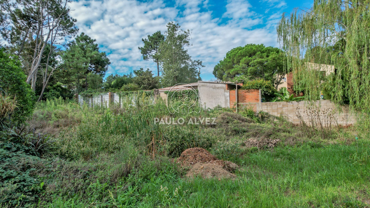 San Francisco - GoPunta - Portal Inmobiliario de Punta del Este - Maldonado