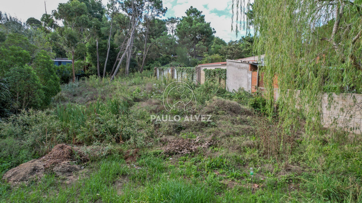 San Francisco - GoPunta - Portal Inmobiliario de Punta del Este - Maldonado