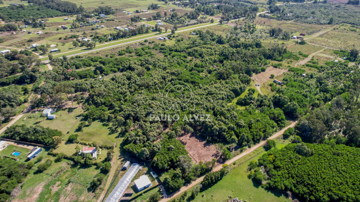 Barra Portezuelo - GoPunta - Portal Inmobiliario de Punta del Este - Maldonado