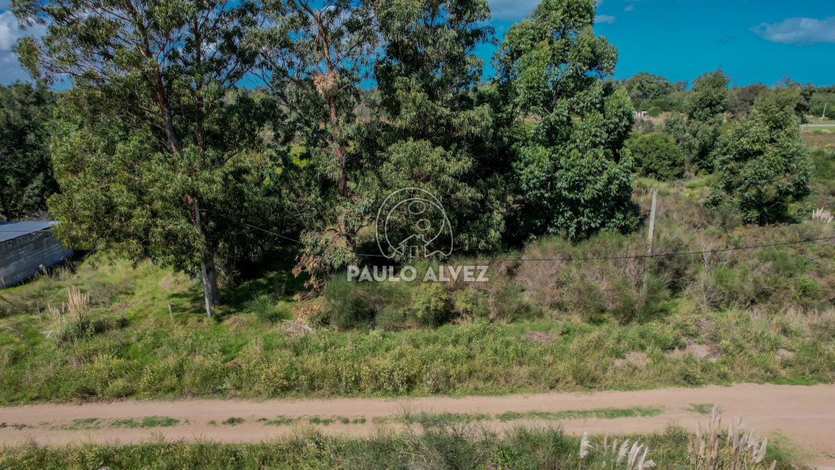 Barra Portezuelo - GoPunta - Portal Inmobiliario de Punta del Este - Maldonado