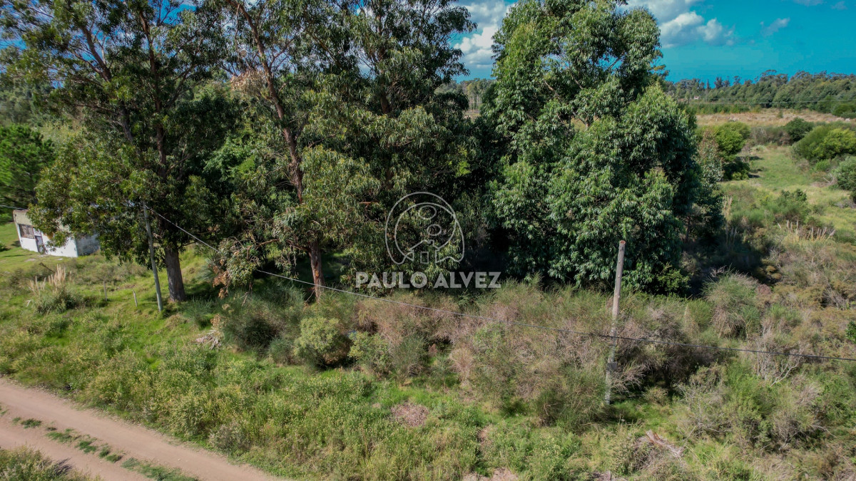Barra Portezuelo - GoPunta - Portal Inmobiliario de Punta del Este - Maldonado