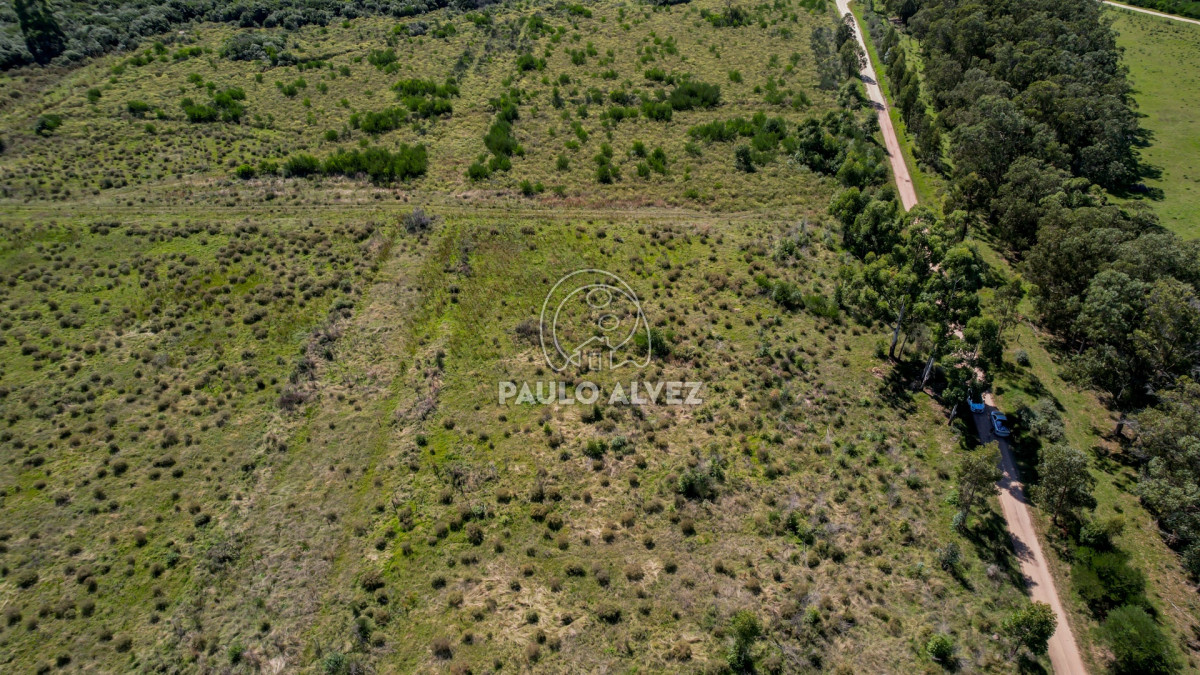 Propiedad - GoPunta - Portal Inmobiliario de Punta del Este - Maldonado