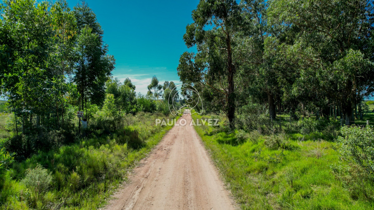 Barra Portezuelo - GoPunta - Portal Inmobiliario de Punta del Este - Maldonado