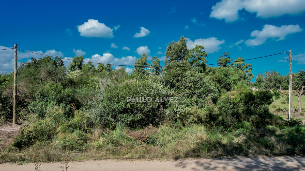 Barra Portezuelo - GoPunta - Portal Inmobiliario de Punta del Este - Maldonado