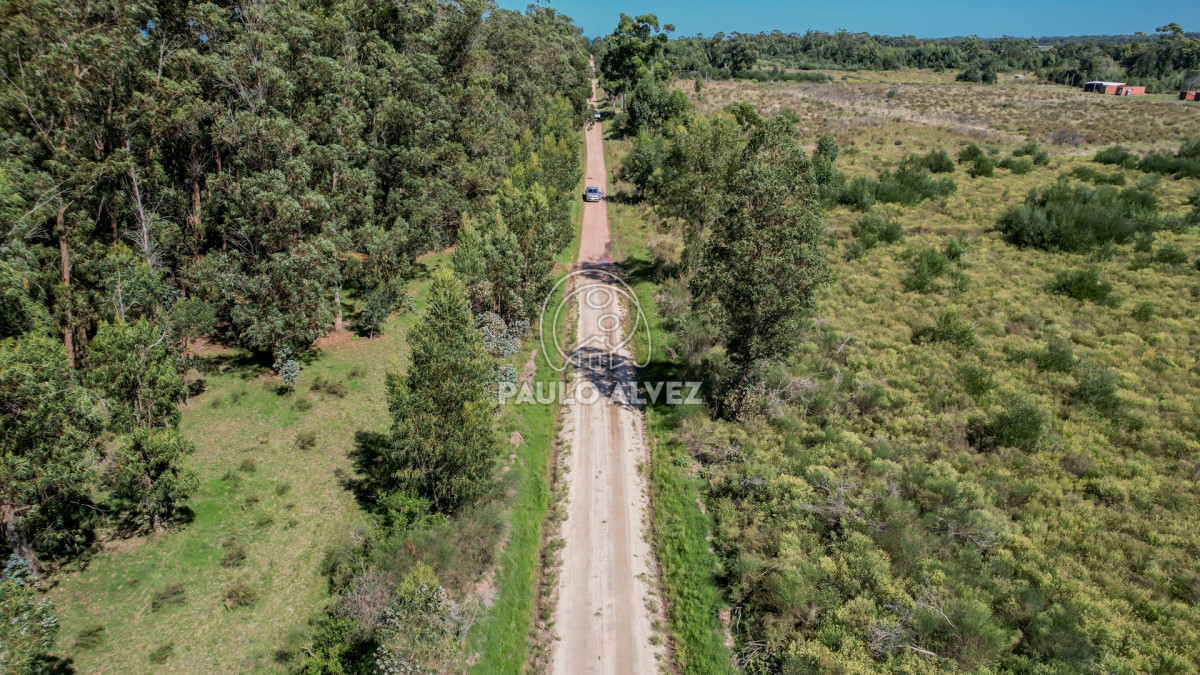 Barra Portezuelo - GoPunta - Portal Inmobiliario de Punta del Este - Maldonado