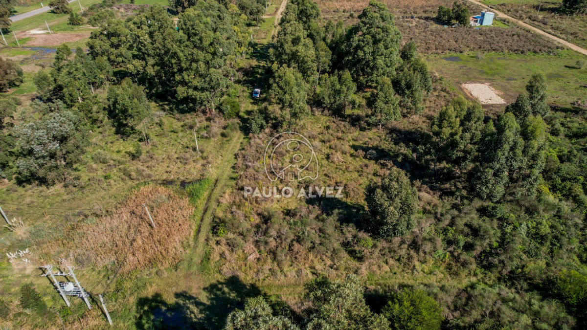 Barra Portezuelo - GoPunta - Portal Inmobiliario de Punta del Este - Maldonado