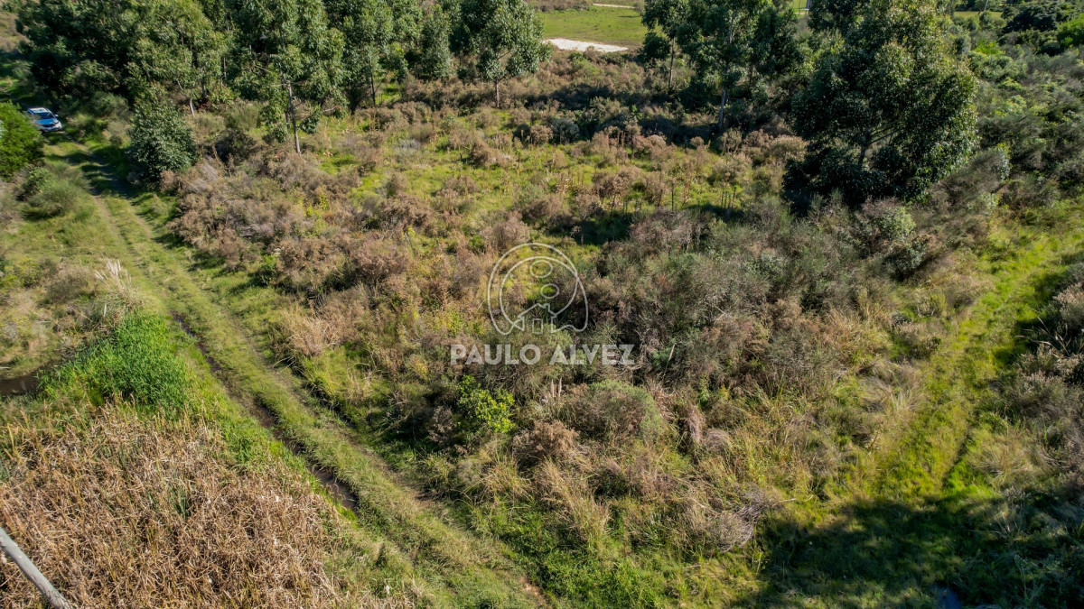 Barra Portezuelo - GoPunta - Portal Inmobiliario de Punta del Este - Maldonado