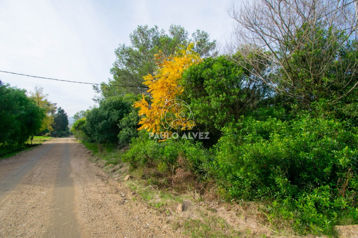 Playa Hermosa - GoPunta - Portal Inmobiliario de Punta del Este - Maldonado