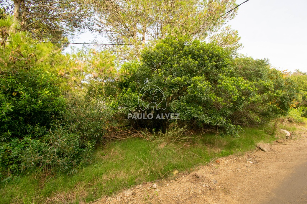 Playa Hermosa - GoPunta - Portal Inmobiliario de Punta del Este - Maldonado