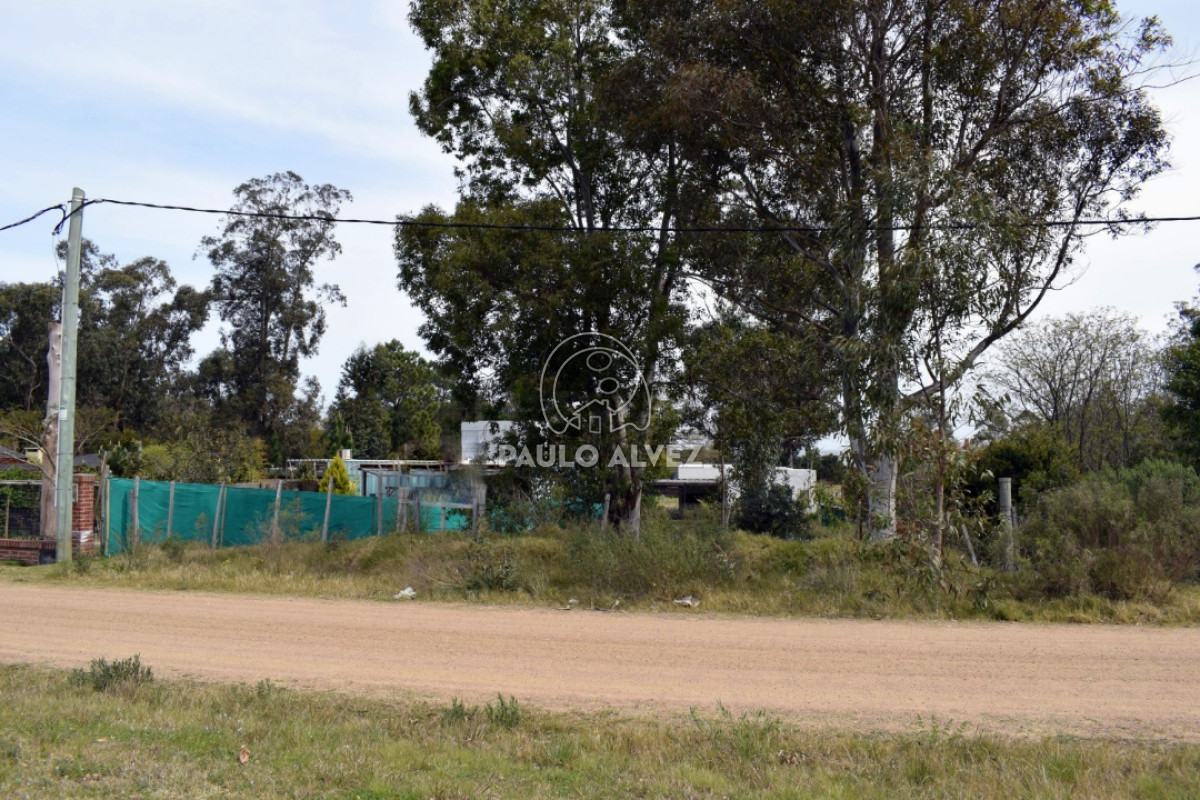 Piriápolis - GoPunta - Portal Inmobiliario de Punta del Este - Maldonado