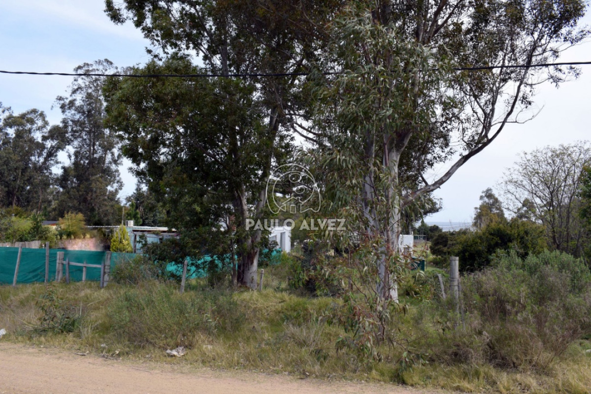 Piriápolis - GoPunta - Portal Inmobiliario de Punta del Este - Maldonado