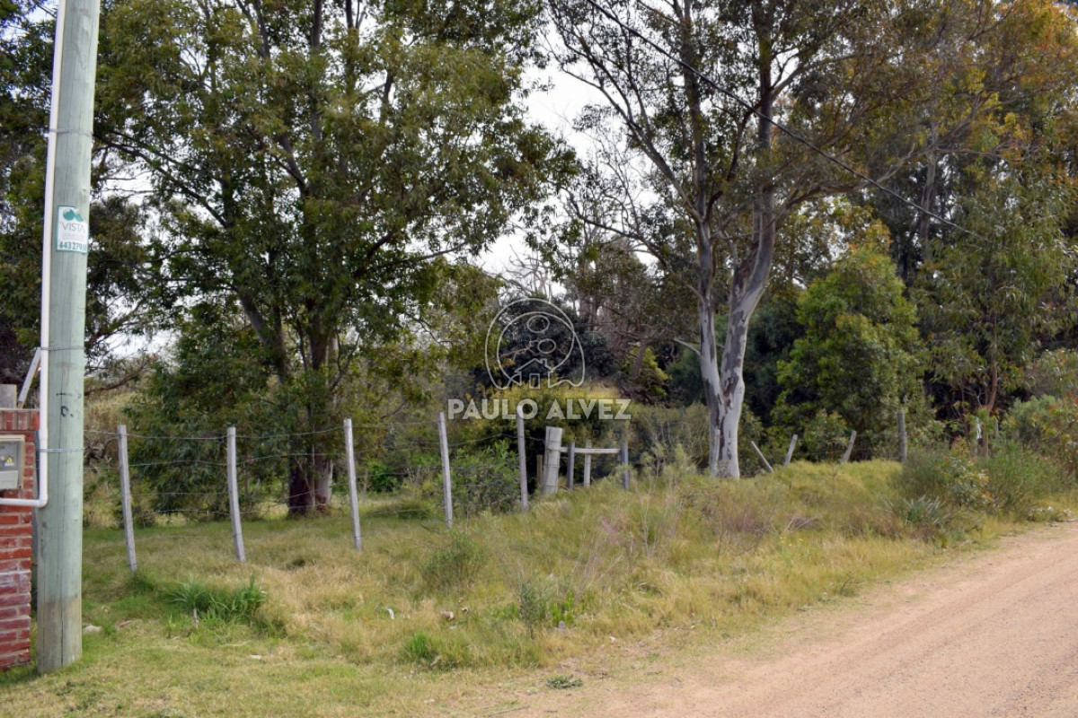 Piriápolis - GoPunta - Portal Inmobiliario de Punta del Este - Maldonado