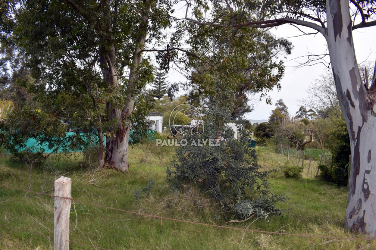 Piriápolis - GoPunta - Portal Inmobiliario de Punta del Este - Maldonado