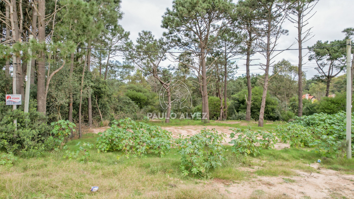 Punta Colorada - GoPunta - Portal Inmobiliario de Punta del Este - Maldonado