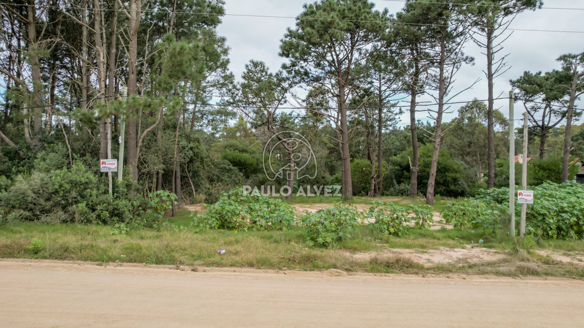 Punta Colorada - GoPunta - Portal Inmobiliario de Punta del Este - Maldonado