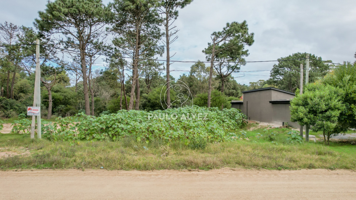 Punta Colorada - GoPunta - Portal Inmobiliario de Punta del Este - Maldonado