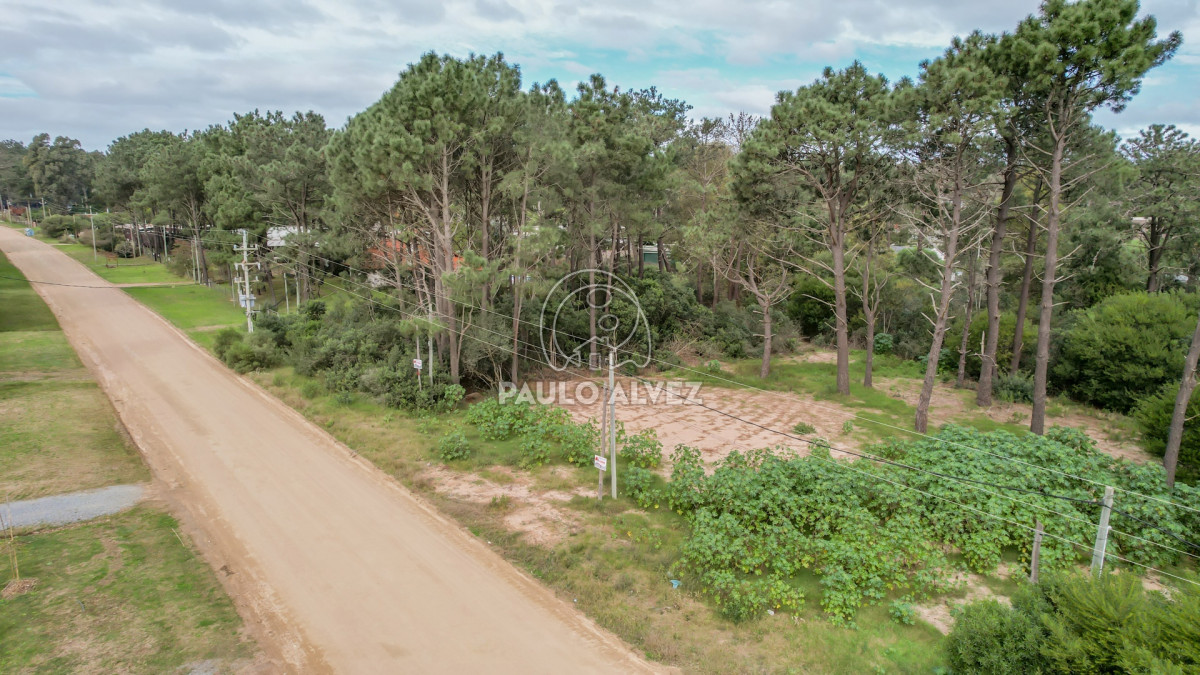Punta Colorada - GoPunta - Portal Inmobiliario de Punta del Este - Maldonado