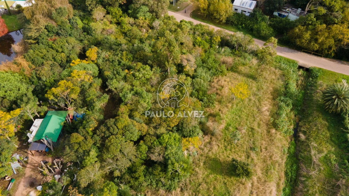 Piriápolis - GoPunta - Portal Inmobiliario de Punta del Este - Maldonado