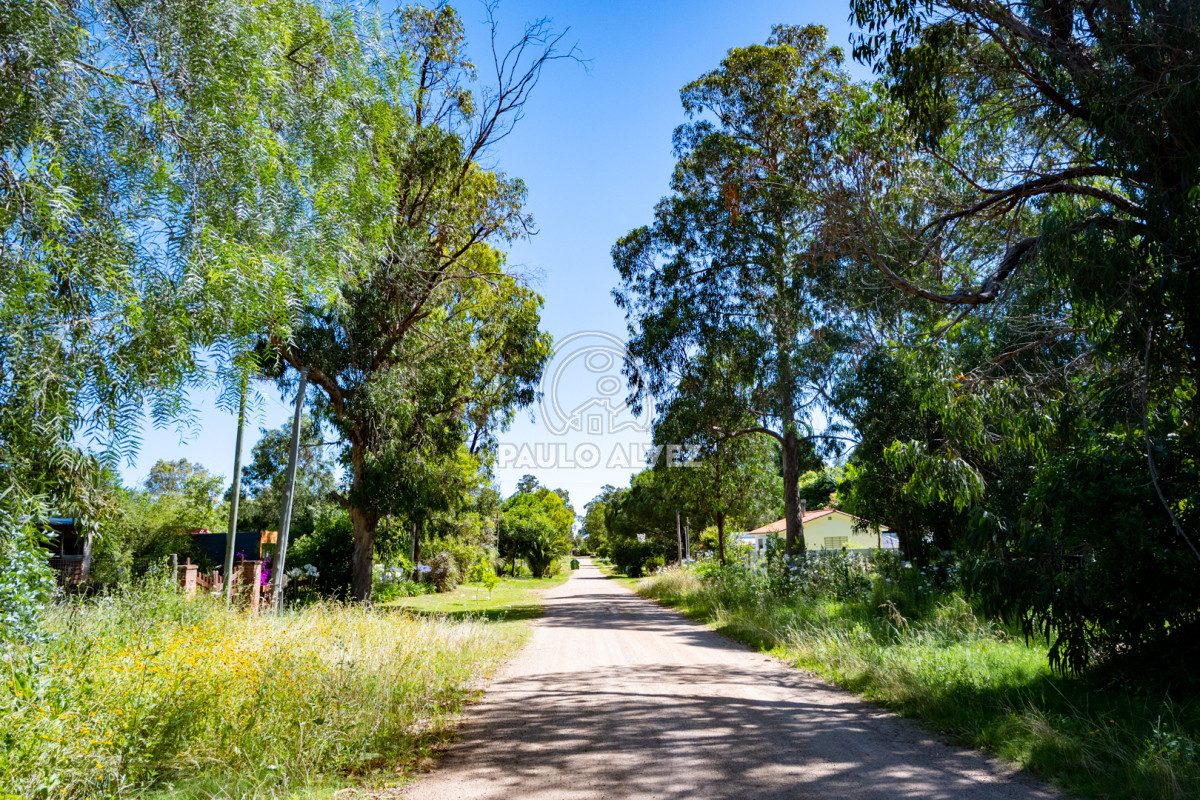 Piriápolis - GoPunta - Portal Inmobiliario de Punta del Este - Maldonado