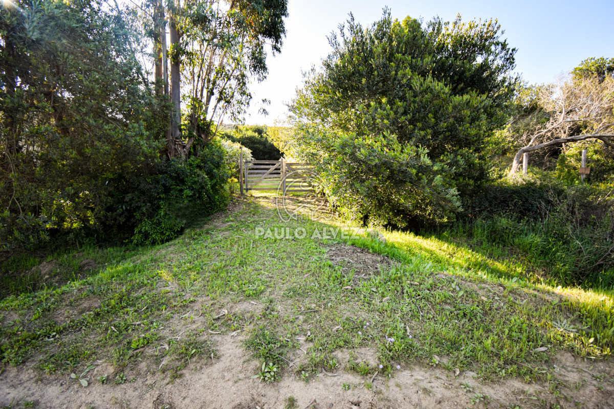 Piriápolis - GoPunta - Portal Inmobiliario de Punta del Este - Maldonado