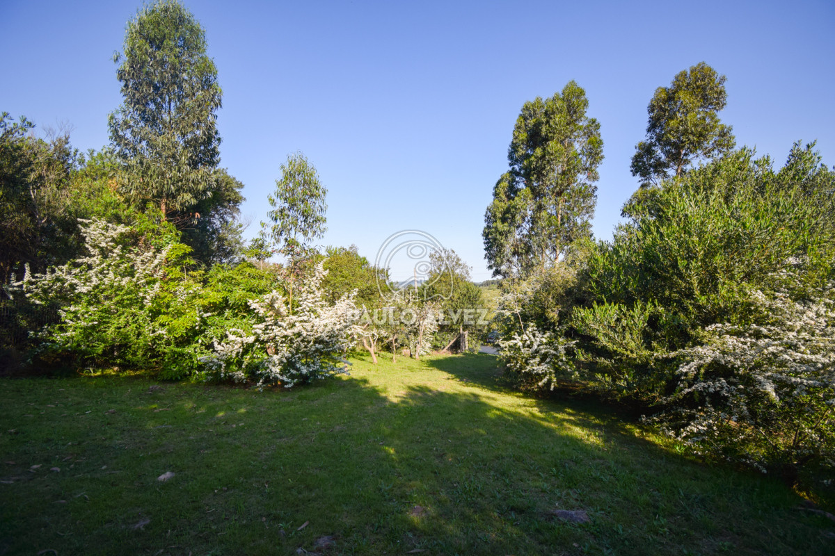 Piriápolis - GoPunta - Portal Inmobiliario de Punta del Este - Maldonado