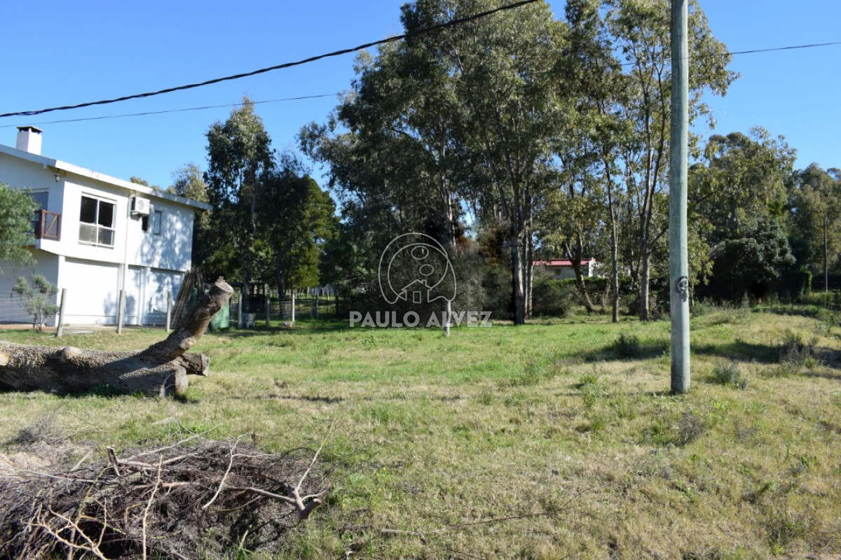 Piriápolis - GoPunta - Portal Inmobiliario de Punta del Este - Maldonado