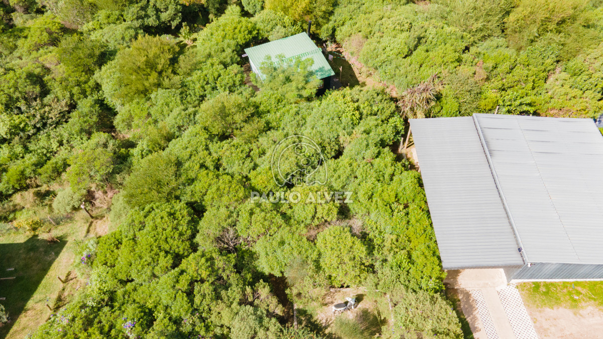 Piriápolis - GoPunta - Portal Inmobiliario de Punta del Este - Maldonado