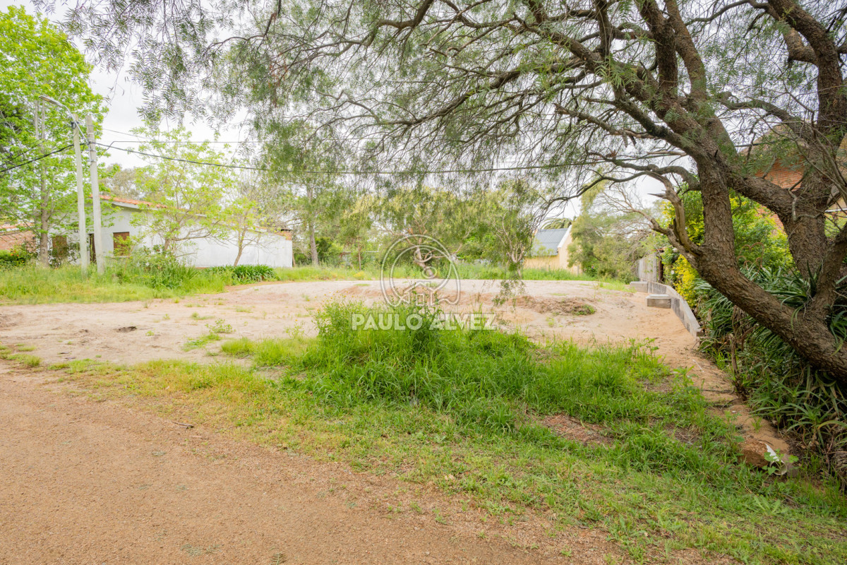 Piriápolis - GoPunta - Portal Inmobiliario de Punta del Este - Maldonado