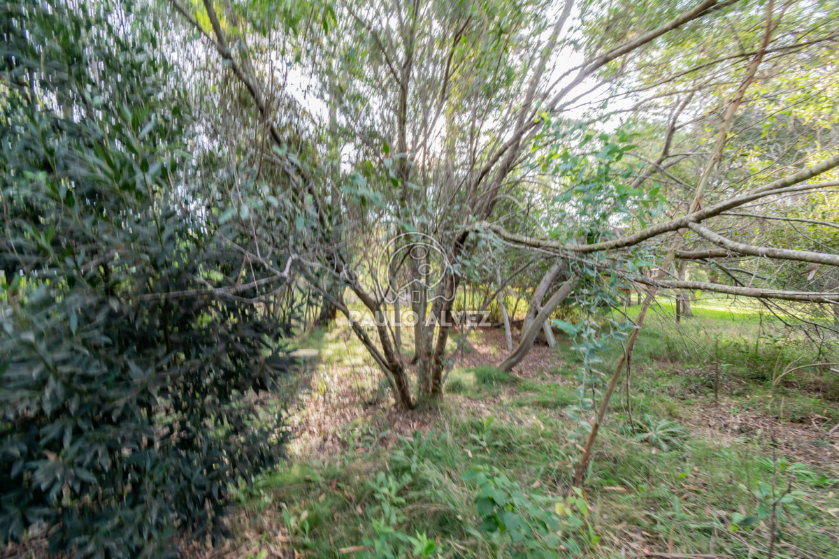 Punta Negra - GoPunta - Portal Inmobiliario de Punta del Este - Maldonado