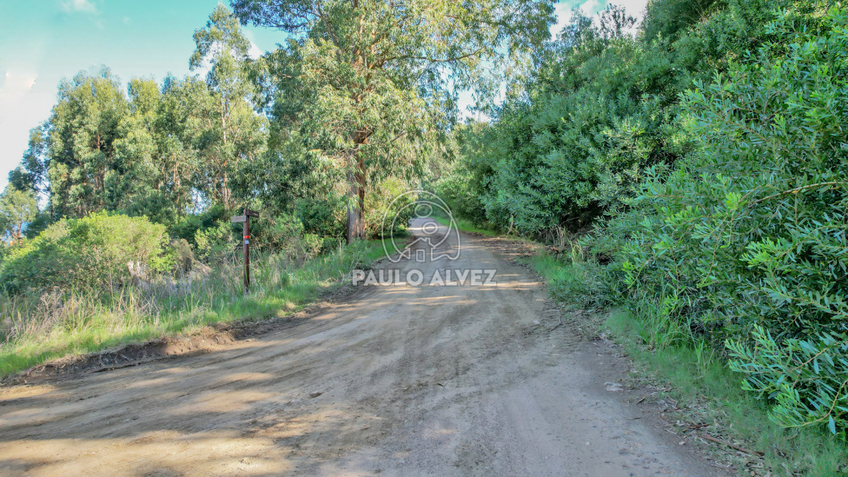 Punta Fria - GoPunta - Portal Inmobiliario de Punta del Este - Maldonado