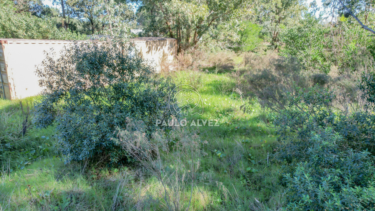 Punta Colorada - GoPunta - Portal Inmobiliario de Punta del Este - Maldonado