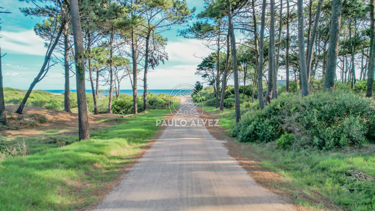 Punta Colorada - GoPunta - Portal Inmobiliario de Punta del Este - Maldonado